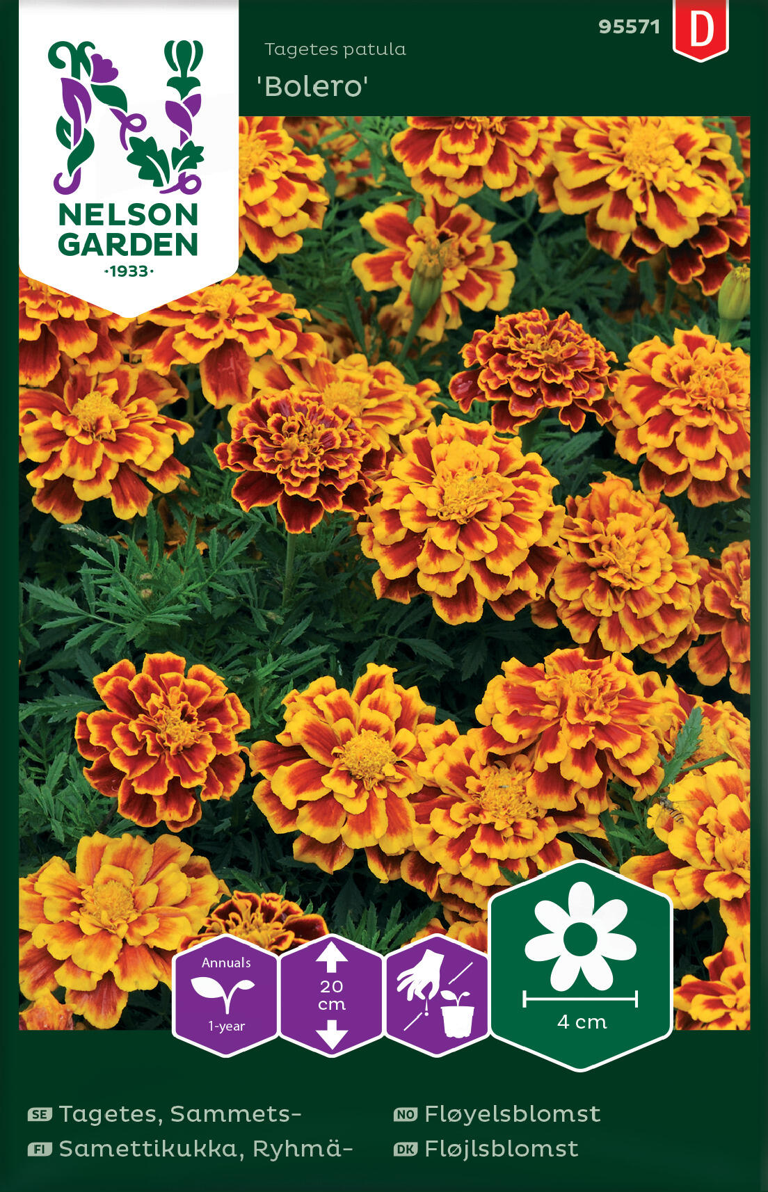 Sammetsblomma 'Bolero'